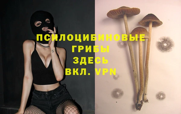 мет Балахна