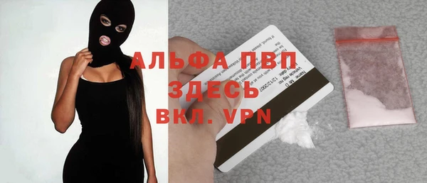 прущие грибы Беломорск