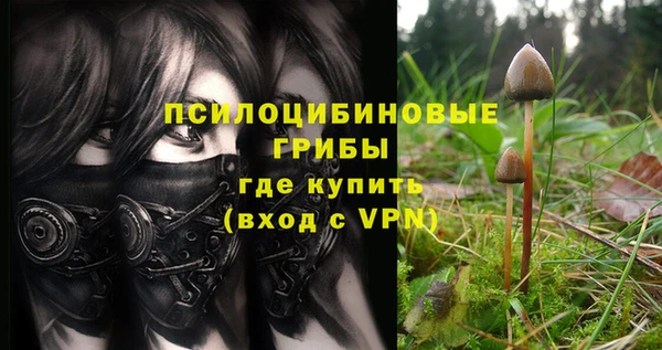 прущие грибы Беломорск
