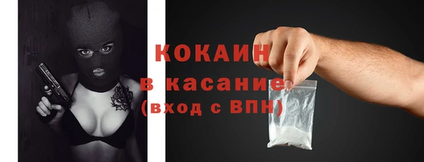 прущие грибы Беломорск
