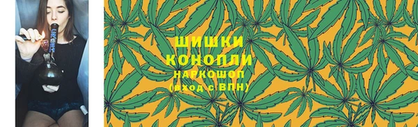 прущие грибы Беломорск