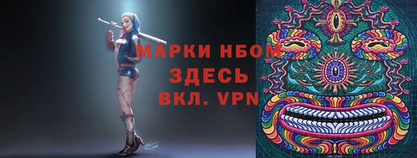 прущие грибы Беломорск